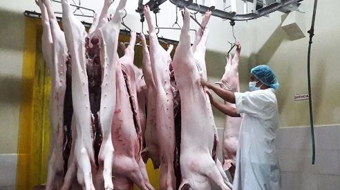 筑牢安全防線 肉制品加工廠的衛(wèi)生設(shè)施與管理實(shí)踐