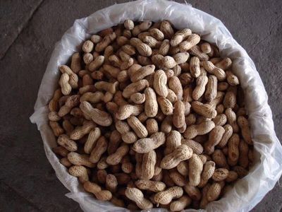 速凍花生 從山東有路食品看凍品農副產品的加工與市場前景